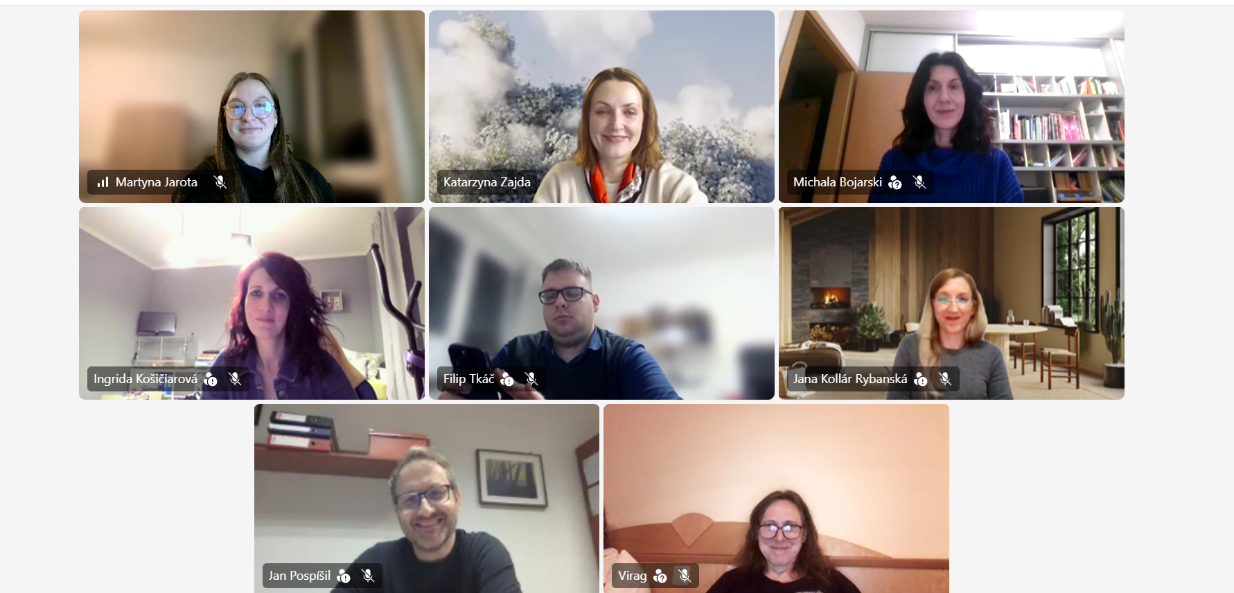 meeting on-line