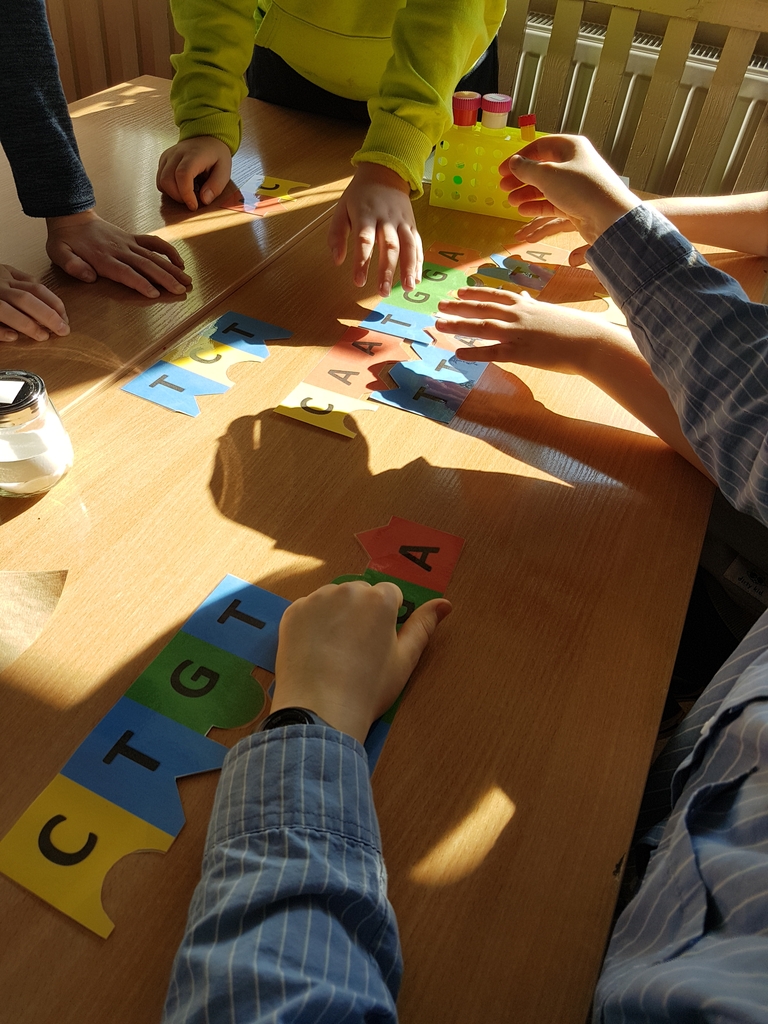 Dzieci układają puzzle przedstawiające zasady azotowe DNA