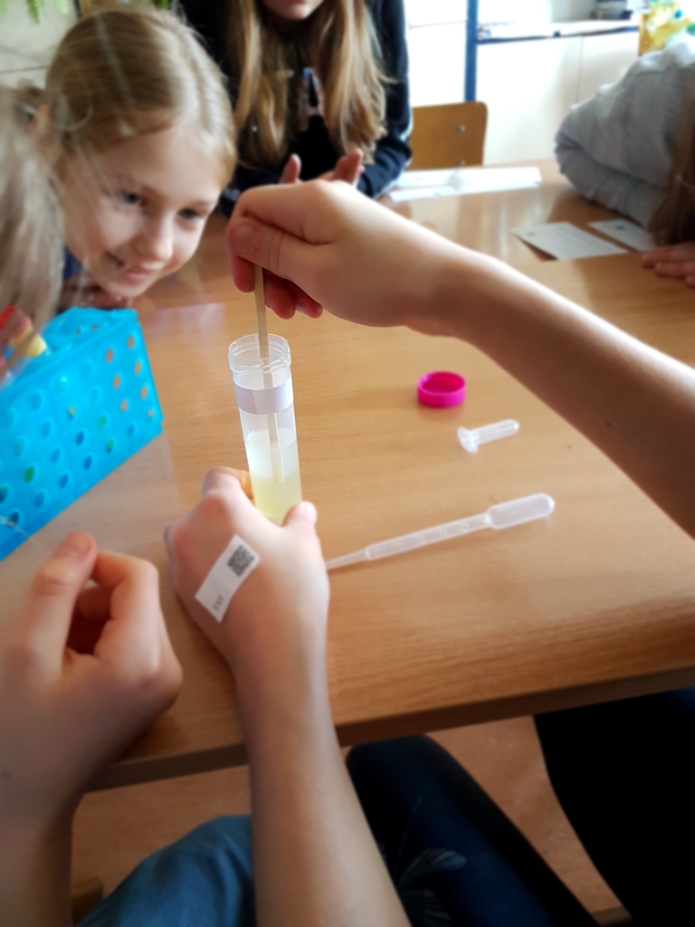 Dzieci oglądają wyizolowane DNA w probówce