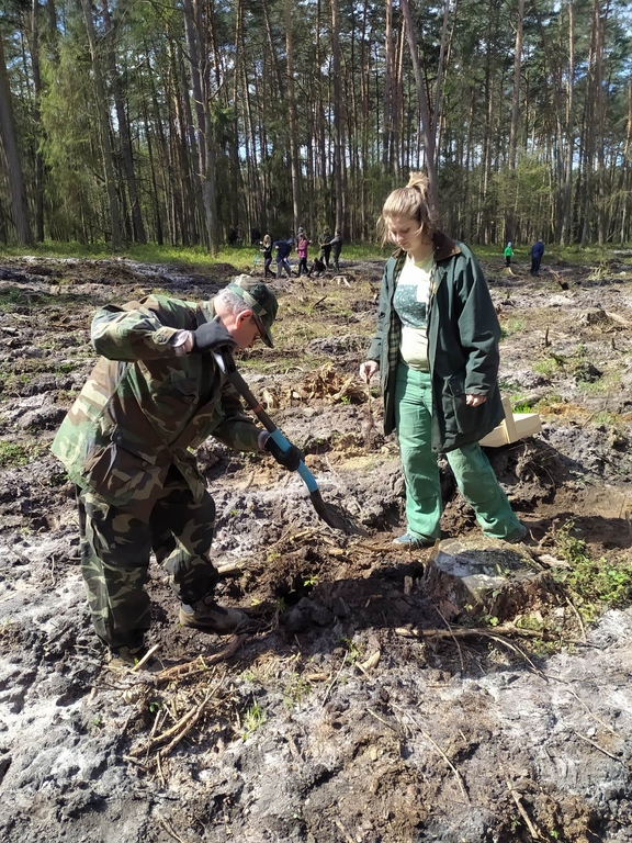 Sadzenie lasu w Nadleśnictwie Piotrków, leśnictwo Uszczyn. (26.04.2023) Na zdjęciu widoczny Pan Sławek Klimowicz młodszy specjalista, wraz z jedną z naszych studentek