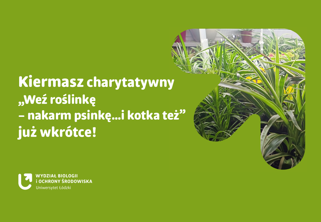 Grafika na kiermasz