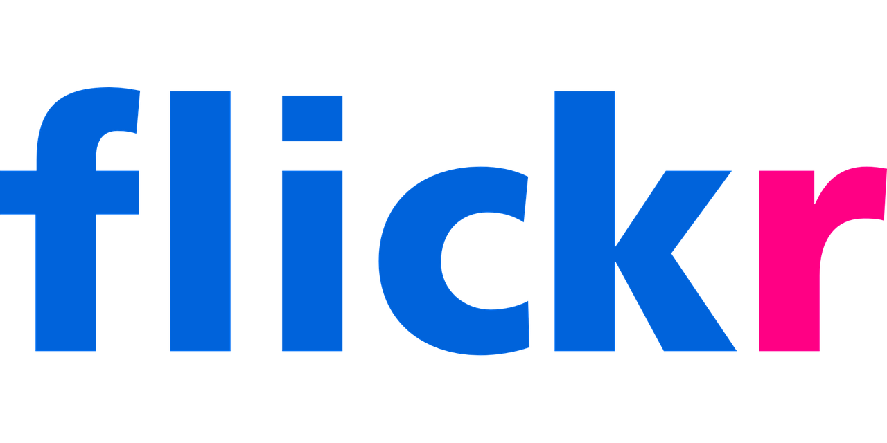 logotyp Flickra