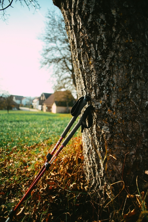 kijki nordic walking