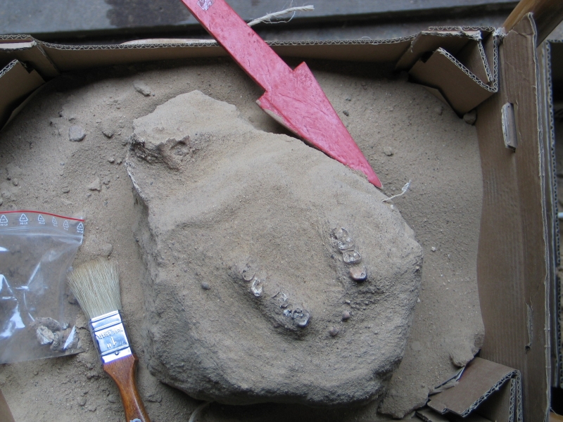 Zdjęcie obiektu archeologicznego