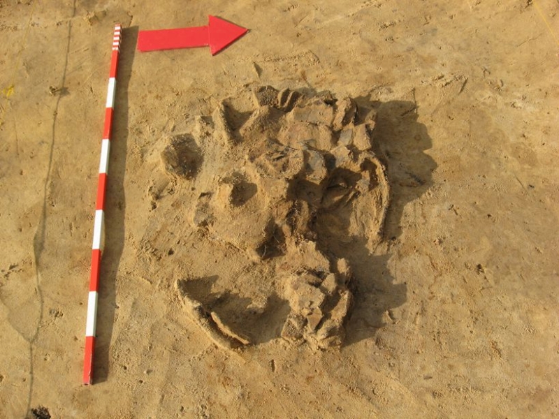 Zdjęcie obiektu archeologicznego