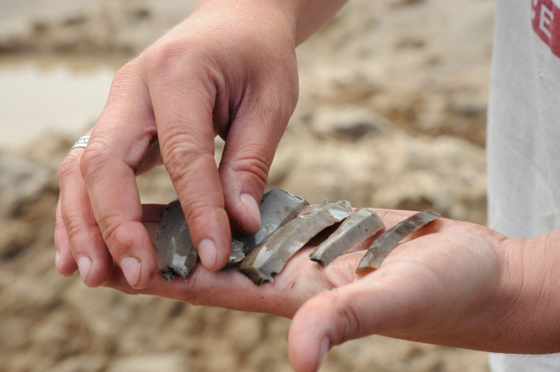Zdjęcie z prac archeologicznych