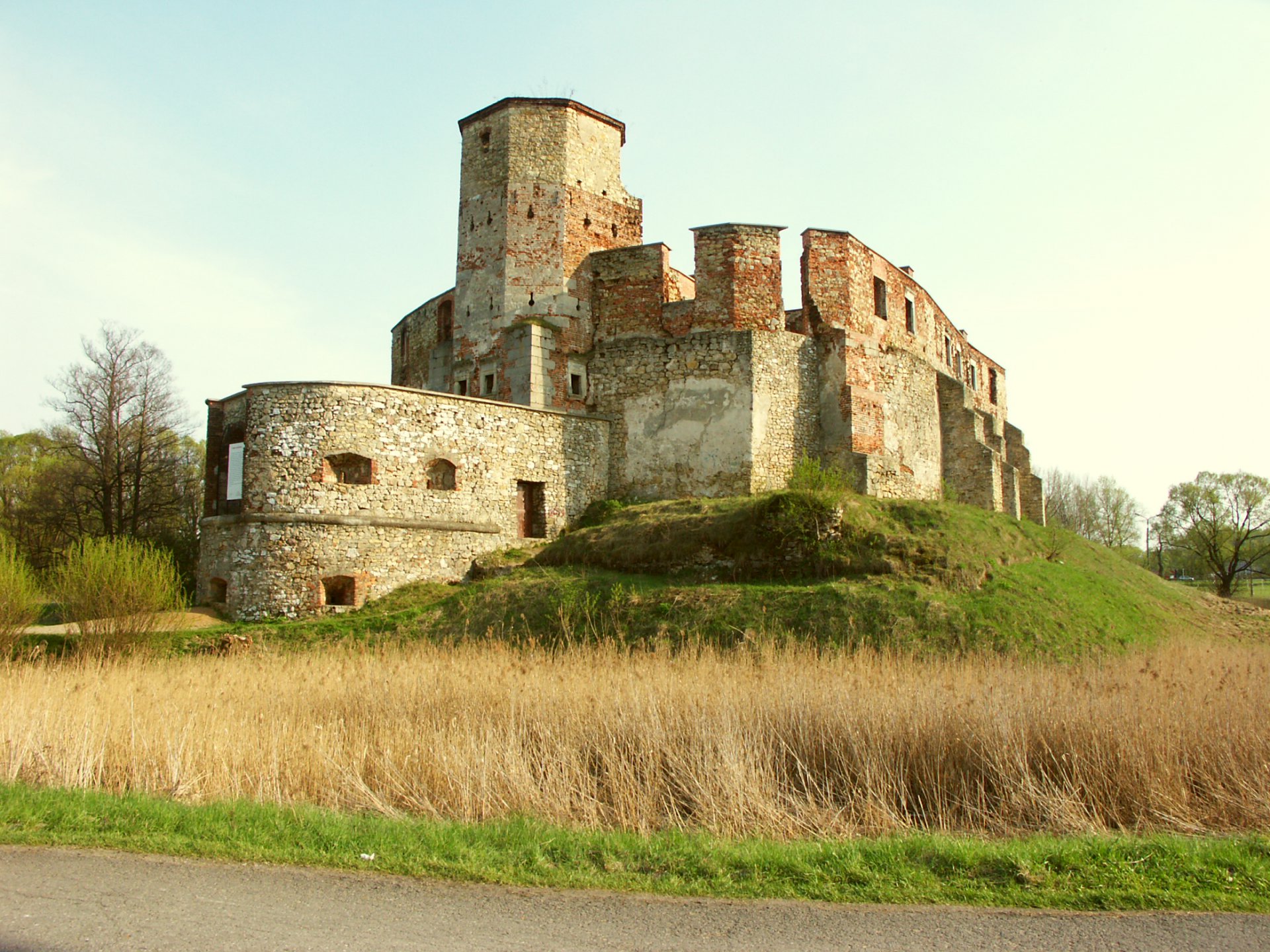 Zdjęcie