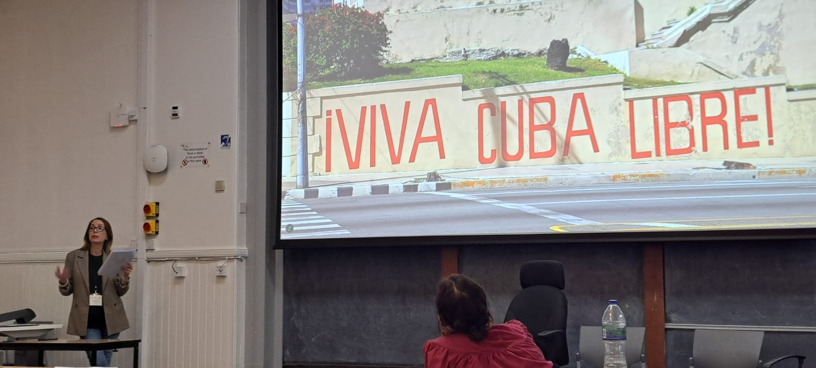 dr Ruxandra Ana