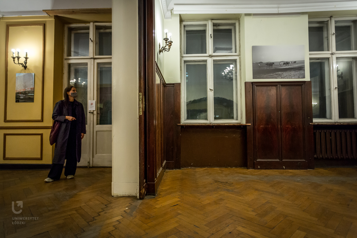 Kobieta ogląda wystawę fotografii