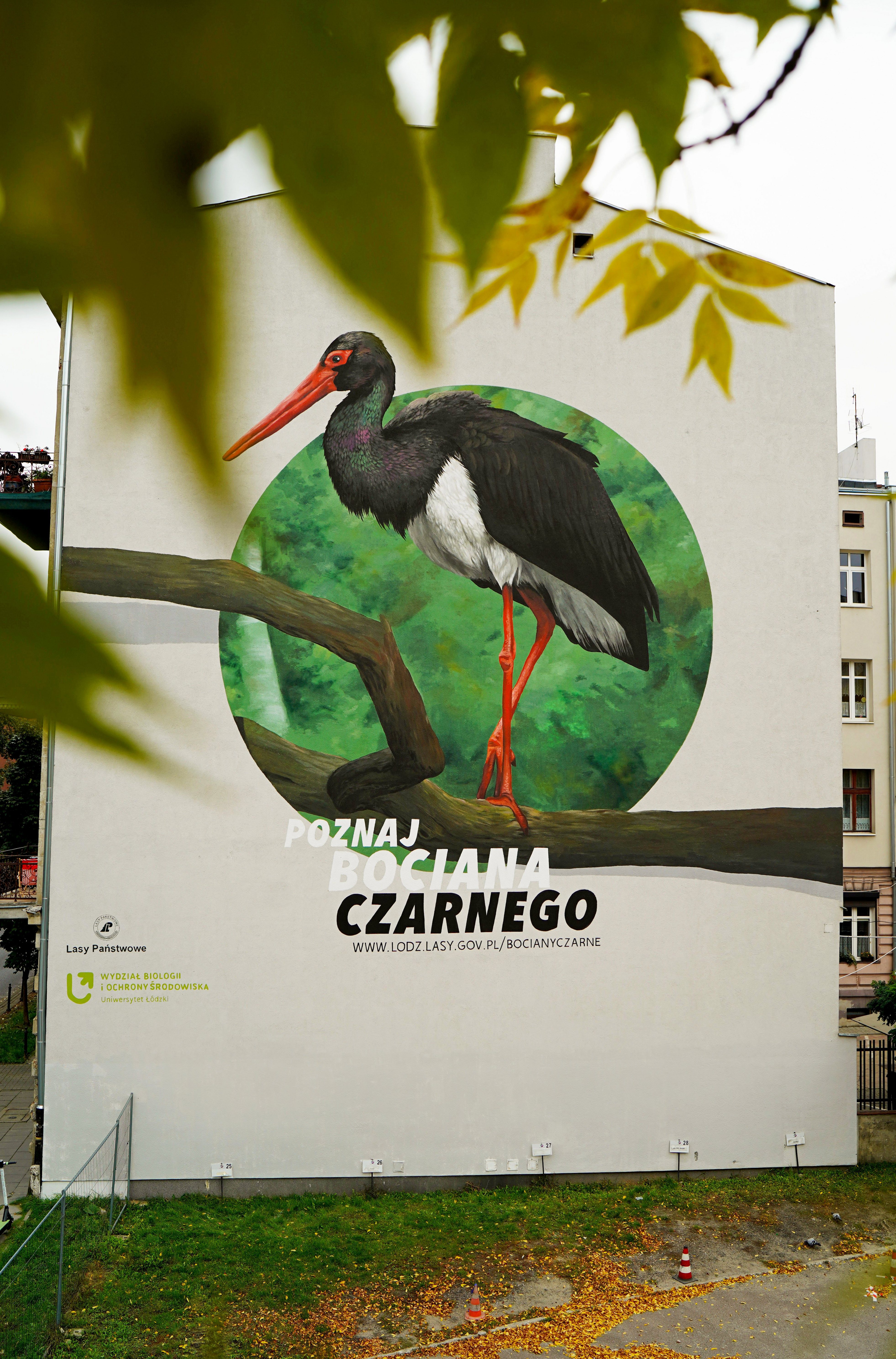 Mural z bocianem czarnym
