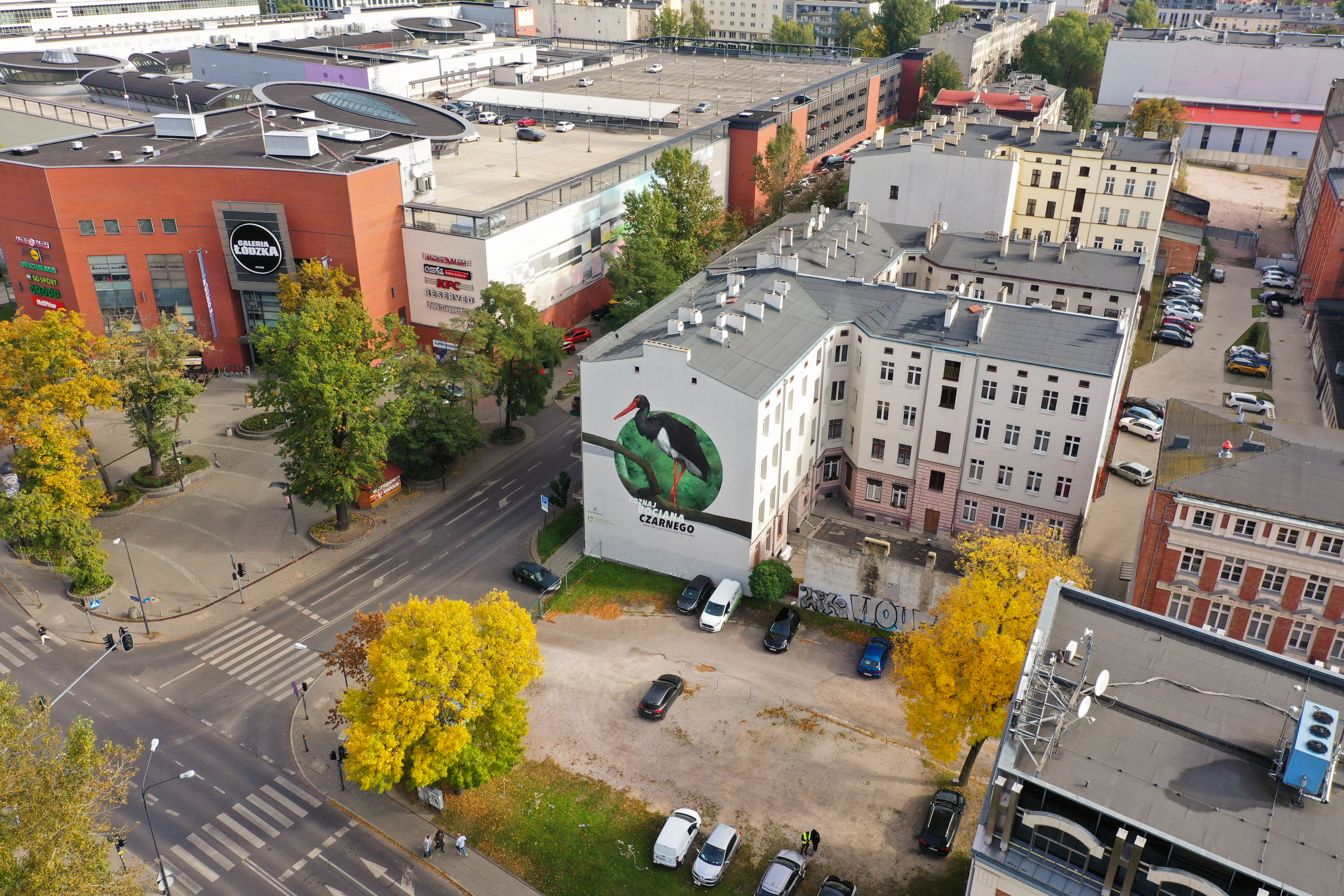 Mural z bocianem czarnym ujęcie z drona 
