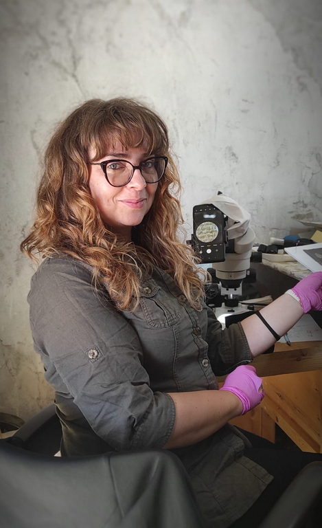 research in Egypt