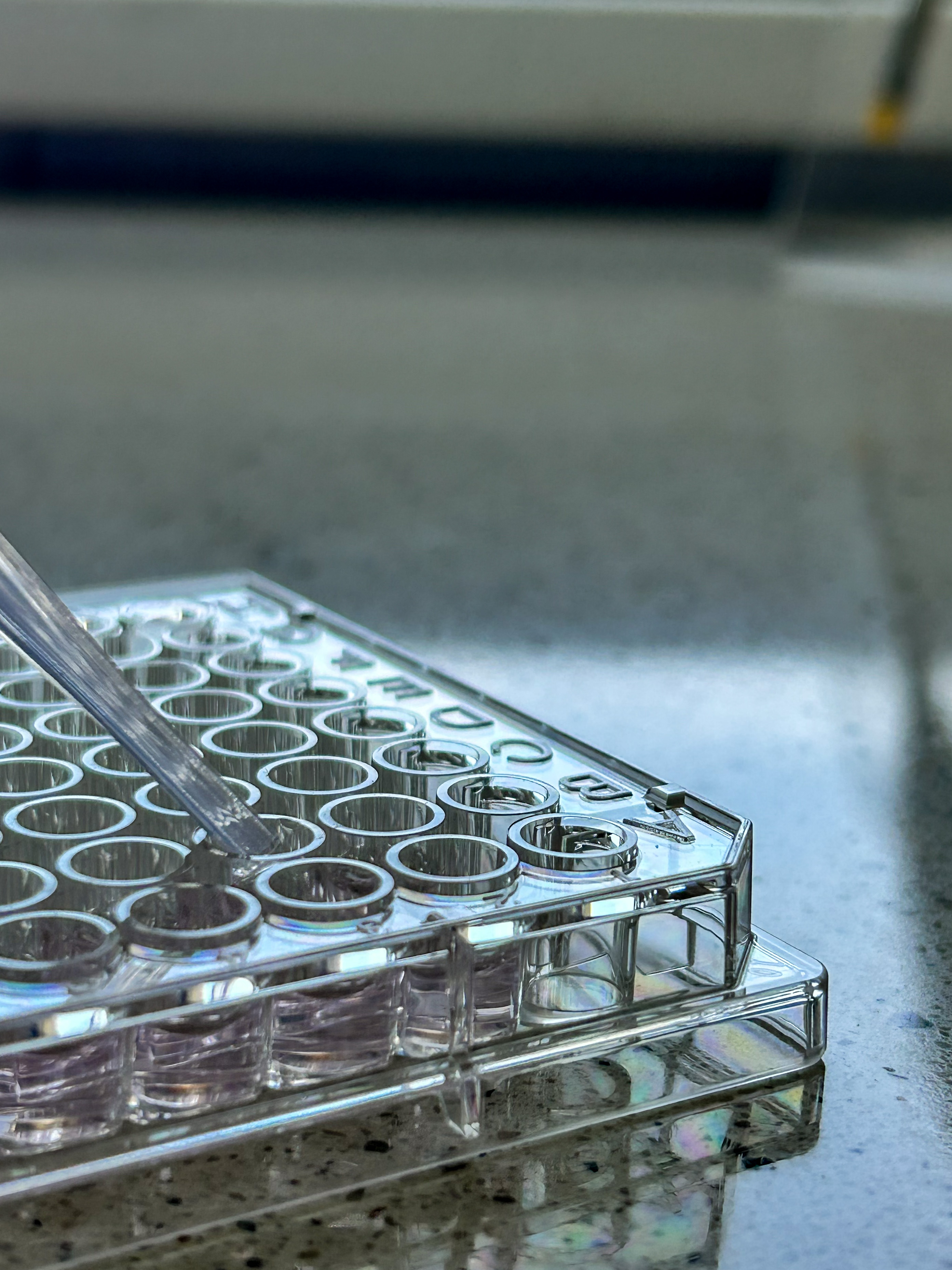 zdjęcie przyrządów w laboratorium