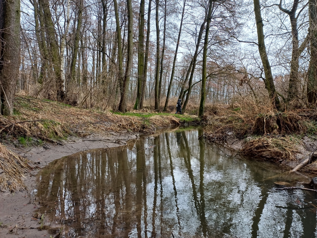 Rzeka
