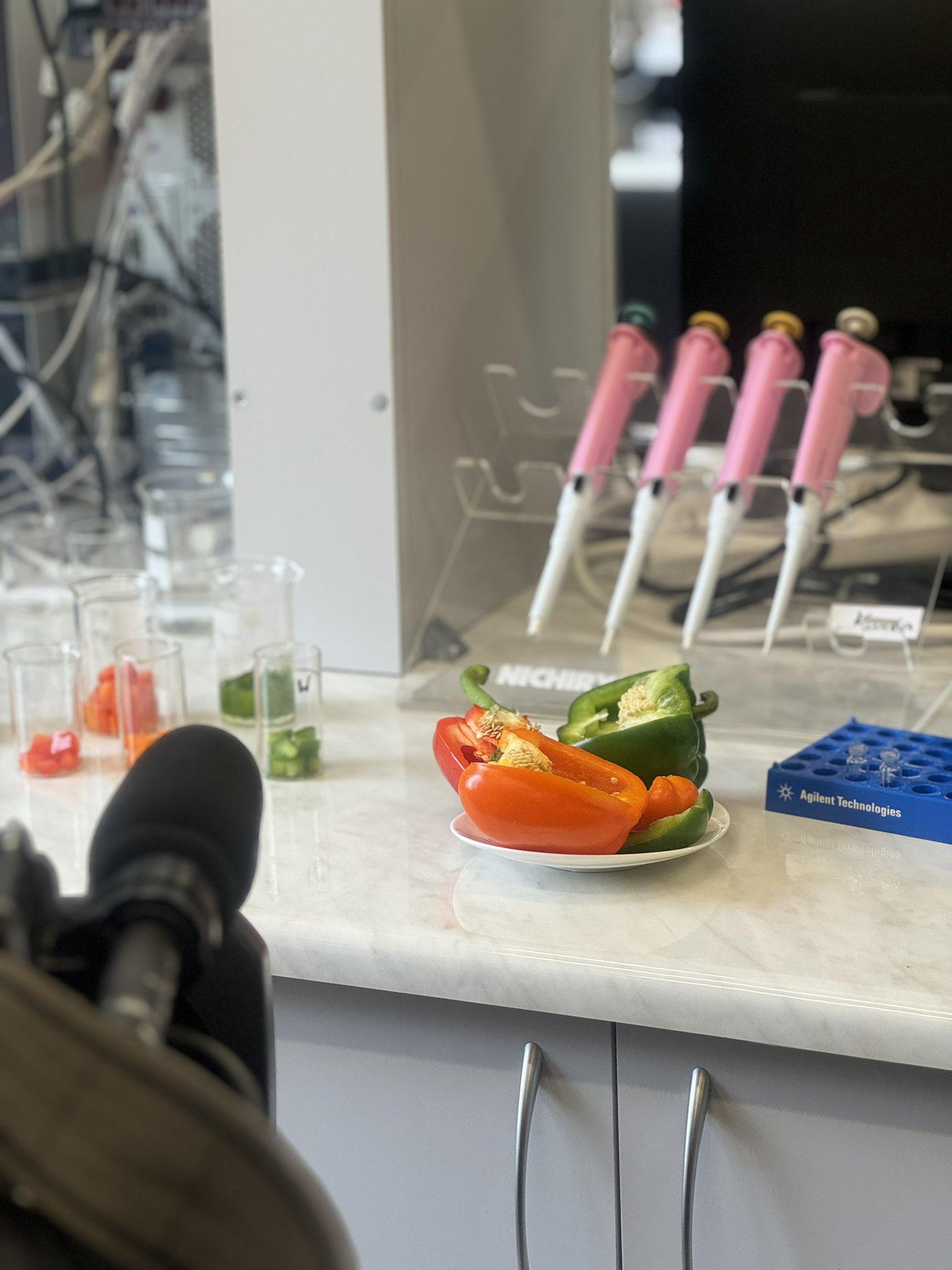 widok na laboratorium chemiczne