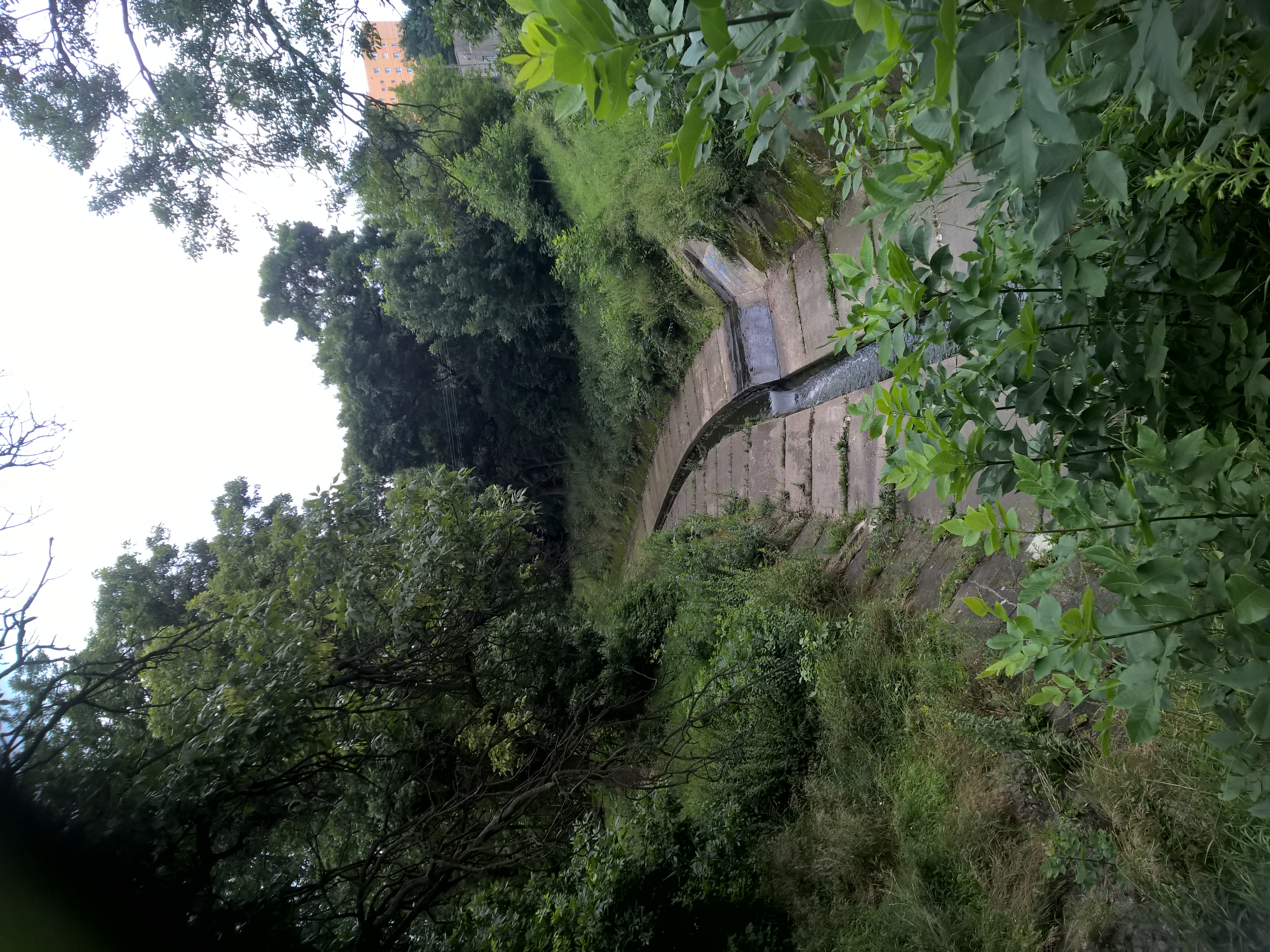 Jasień River in a concrete bed