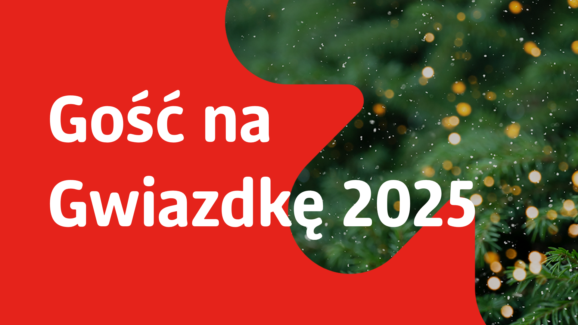 Banner: Christmas Guest 2025
