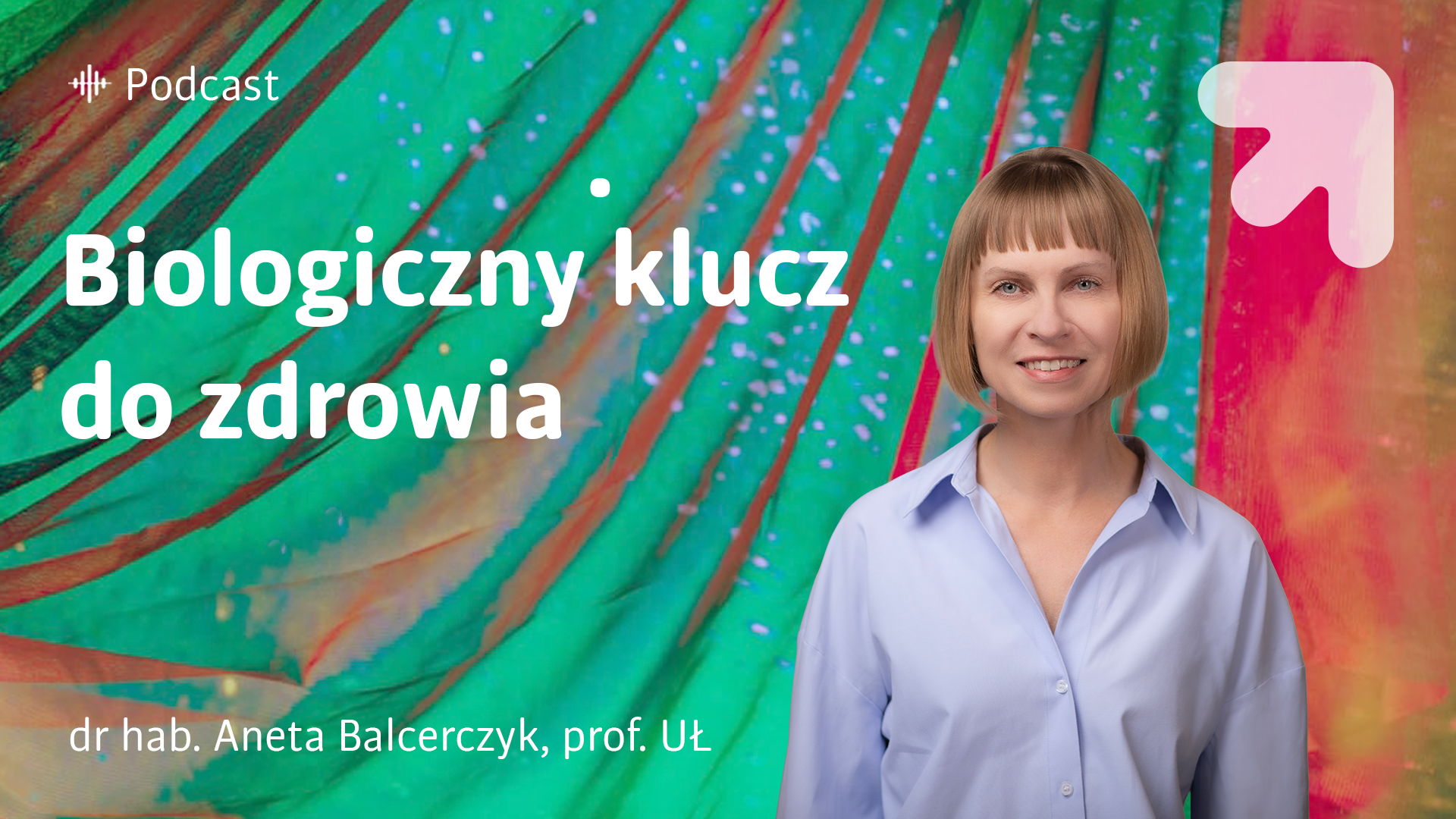 grafika