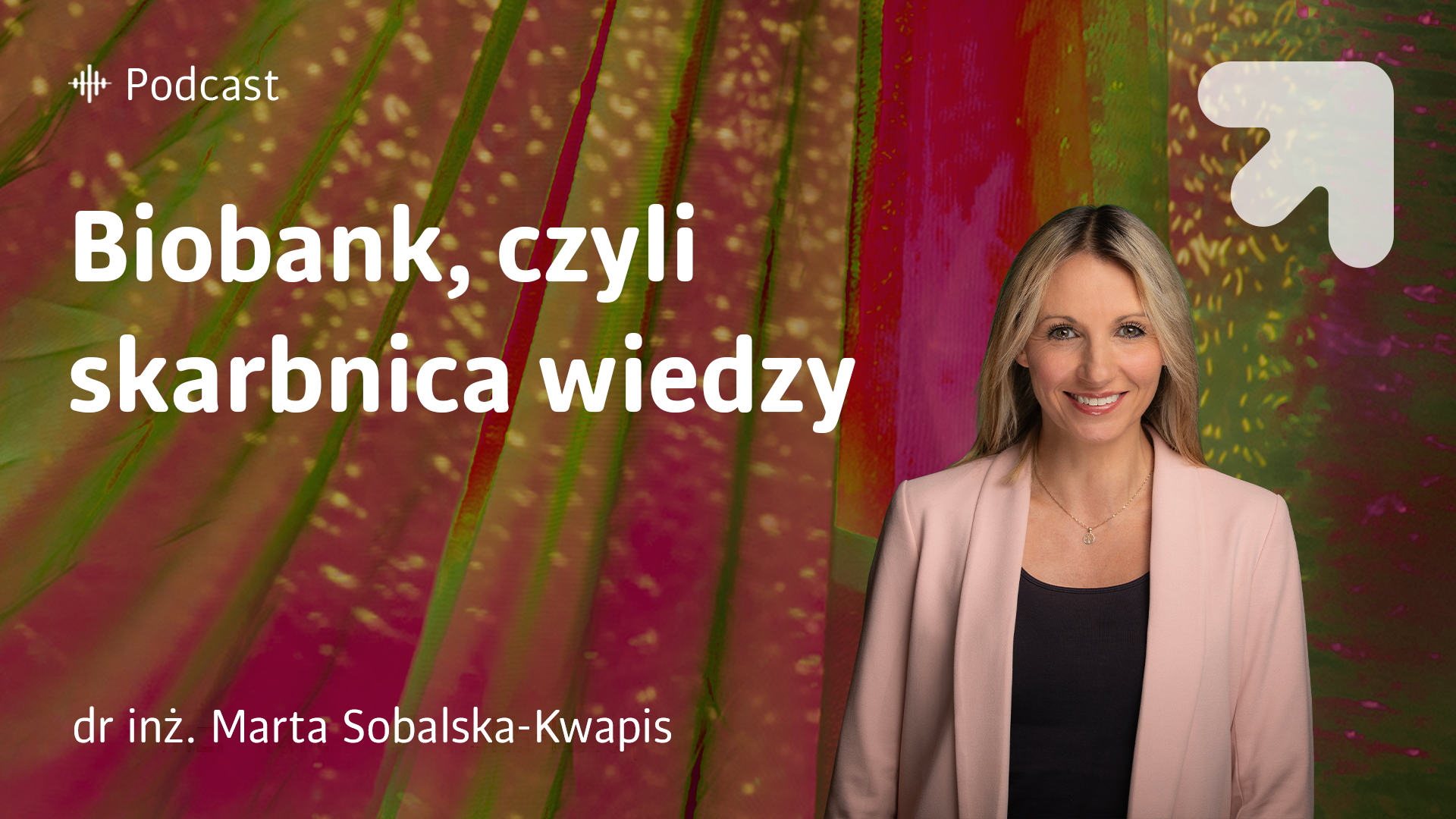 grafika odcinka